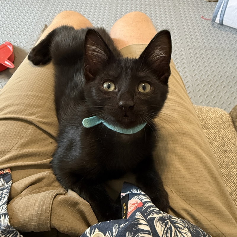 Parker, photo 2