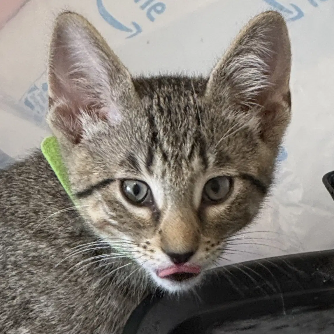 Banner image 2