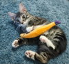 Sirius