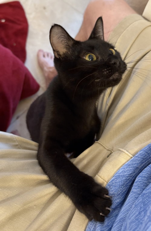 Photo 4 of Pancake