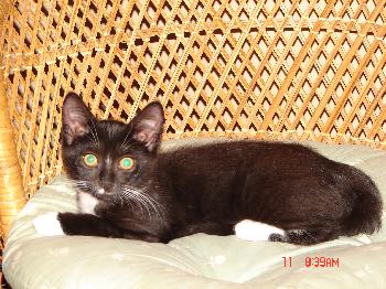 Snickers Guillebeault May 2007