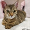 Blondie now Yzma Sanchez May 2021