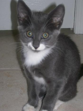 Josie Sturgis Jul 2007