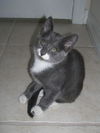 Josie Sturgis Jul 2007