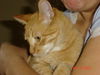 Pee Wee Greer 2007