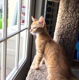 Jasper fka Maximus Kendrick Mar 2018