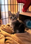 Jasper Kessler Apr 2020