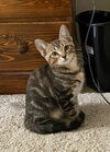 Jasper Kessler Apr 2020