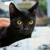 Jet Claggett Jul 2020