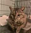 Alfie Schumacher Jan 2011 DECEASED 2023