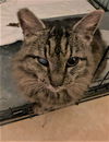 Alfie Schumacher Jan 2011 DECEASED 2023
