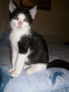 Julius--> Jules Jones Aug 2013 DECEASED 2024