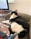 Julius--> Jules Jones Aug 2013 DECEASED 2024