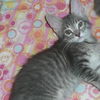 Jake Brewster 2008