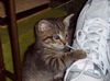 Rex Seevers 2008