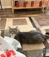 Alice Jones Oct 2012