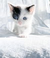 Moo Sosa Nov 2021