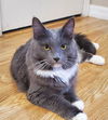 Princess Hazel Kolczycki Apr 2021