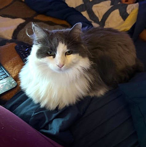 Fluffy fka Maddie Guse Mar 2017