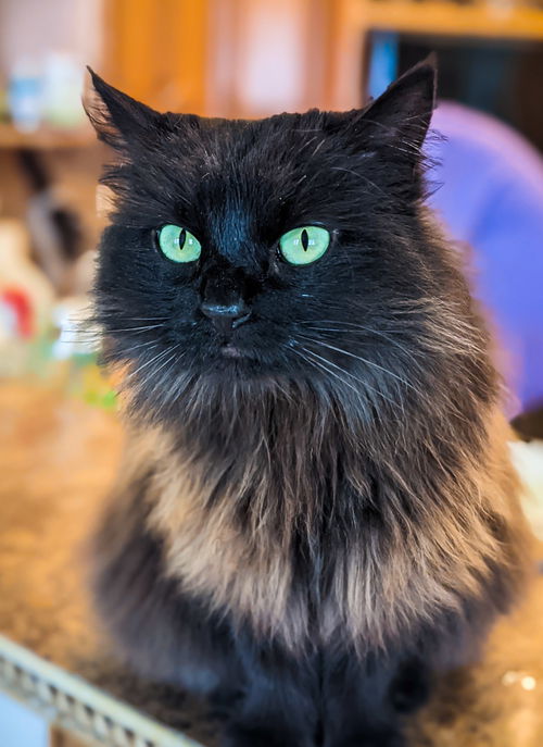 Jillian Sanders Feb 2019