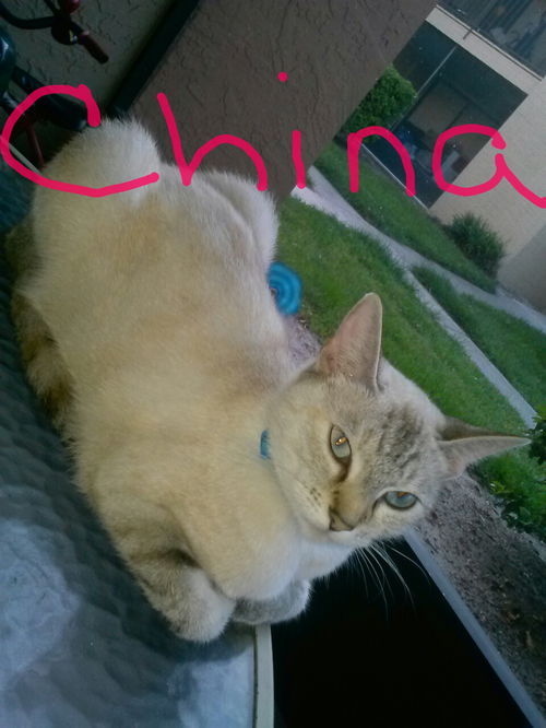 China