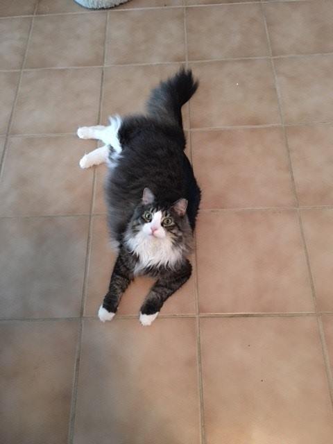 Flynn Vearling Mar 2013 DECEASED 2024