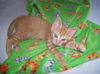 Charlotte Tines 2008