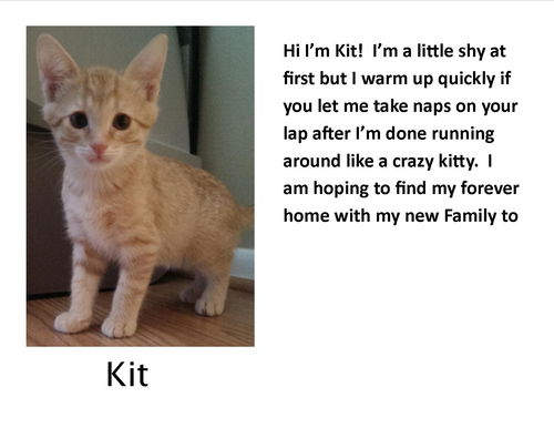 Kit Jun 2015