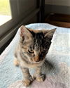 Smudge Reeve Oct 2021