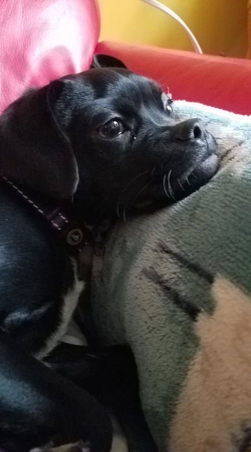 Charlie