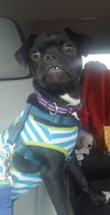 Charlie