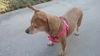 Miss Isabel (Izzie)