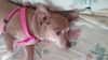 Miss Isabel (Izzie)