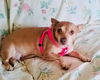 Miss Isabel (Izzie)