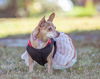 Miss Isabel (Izzie)