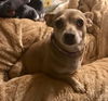 Miss Isabel (Izzie)