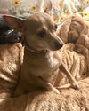Miss Isabel (Izzie)