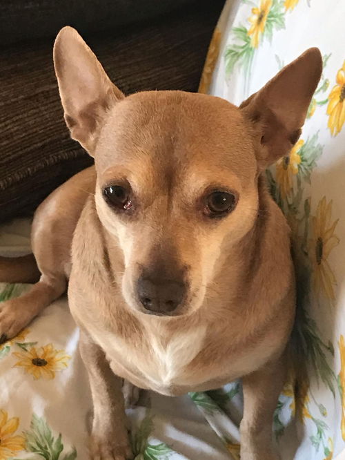 Miss Isabel (Izzie)