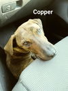 Copper