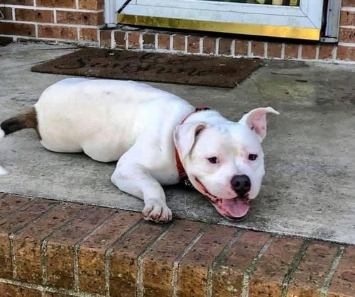 Casper
