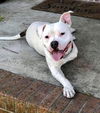 Casper