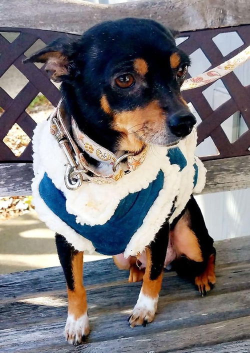 MiMi