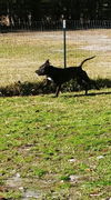 Mr Wiggles