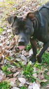 Mr Wiggles