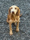 Radar - Photo 4