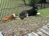 Radar - Photo 6