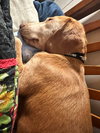 Radar - Photo 7