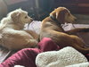 Radar - Photo 8