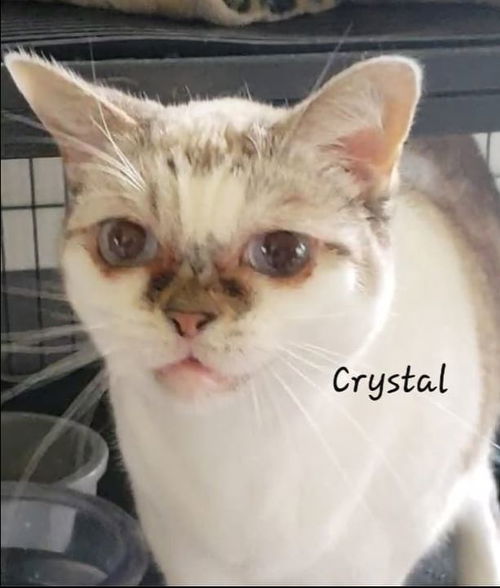 Crystal