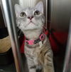 Lucy